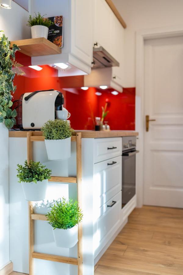 Sara-Lux Apartman Nyarliget 외부 사진