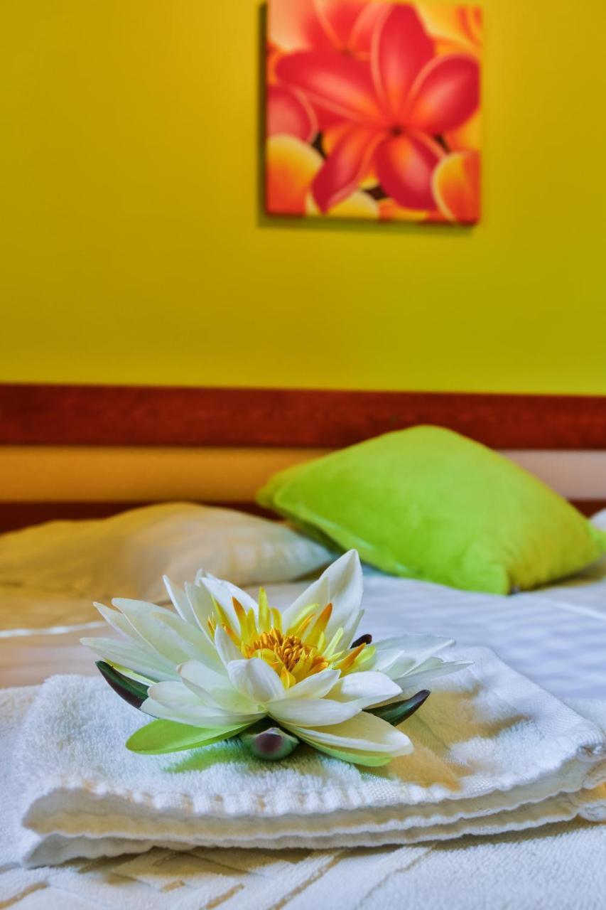 Sara-Lux Apartman Nyarliget 외부 사진